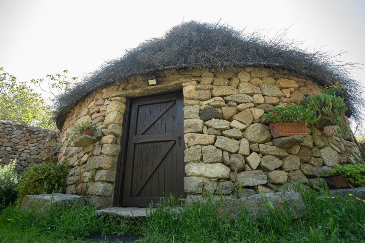 Agriturismo Testone Benetutti Екстериор снимка