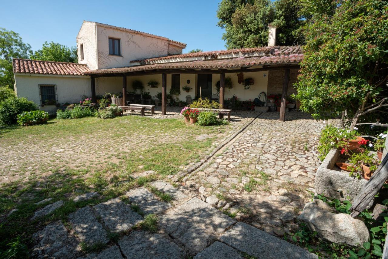 Agriturismo Testone Benetutti Екстериор снимка