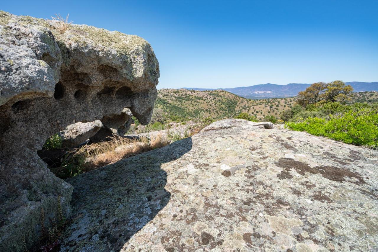 Agriturismo Testone Benetutti Екстериор снимка