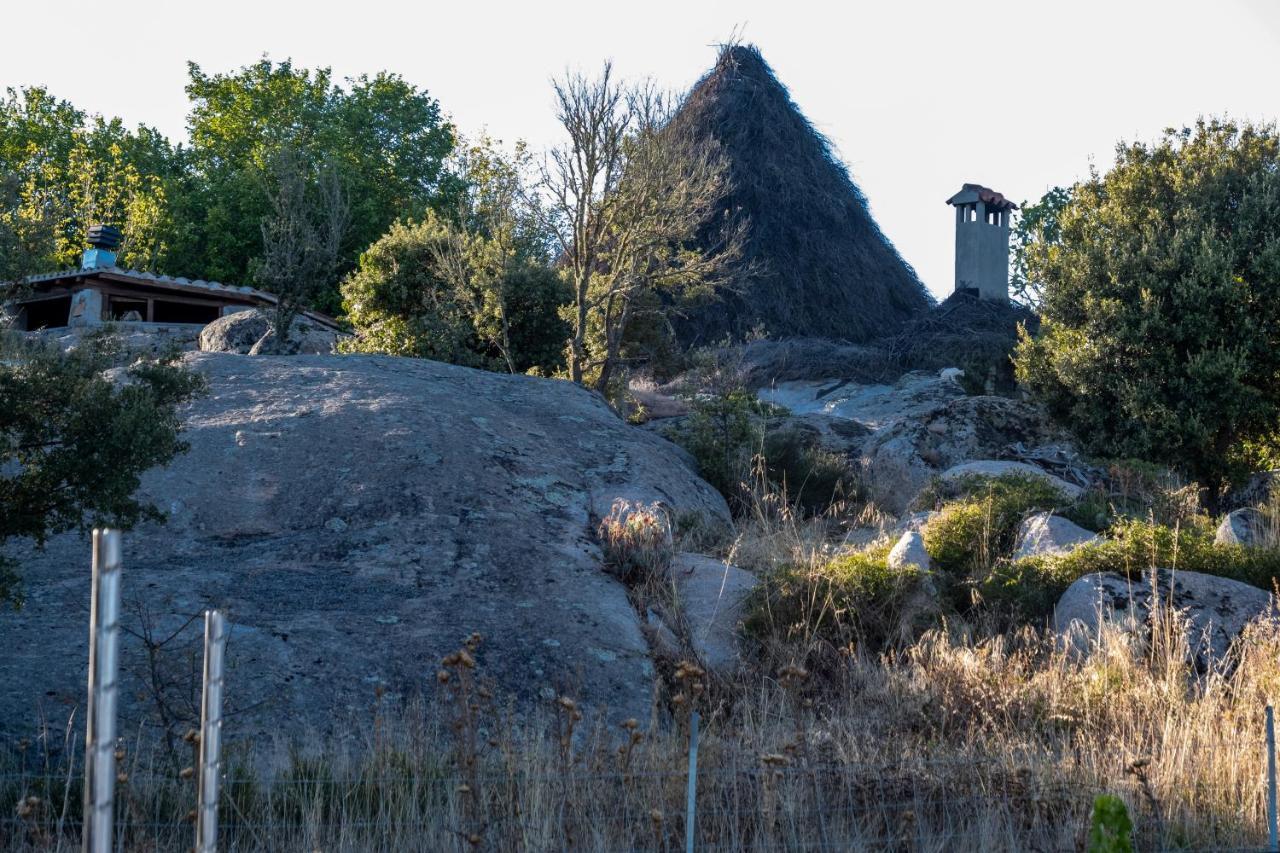 Agriturismo Testone Benetutti Екстериор снимка