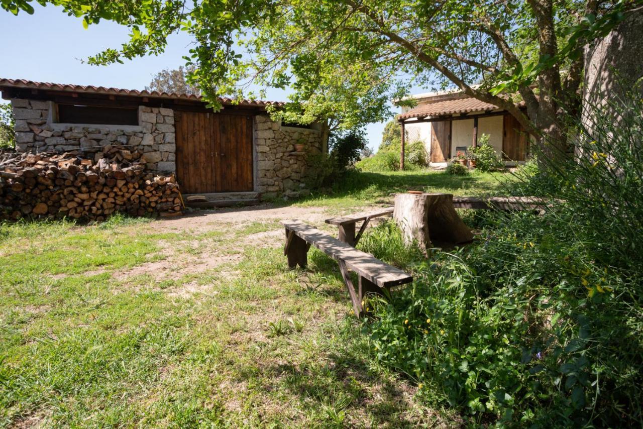 Agriturismo Testone Benetutti Екстериор снимка