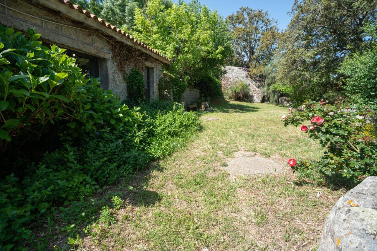 Agriturismo Testone Benetutti Екстериор снимка