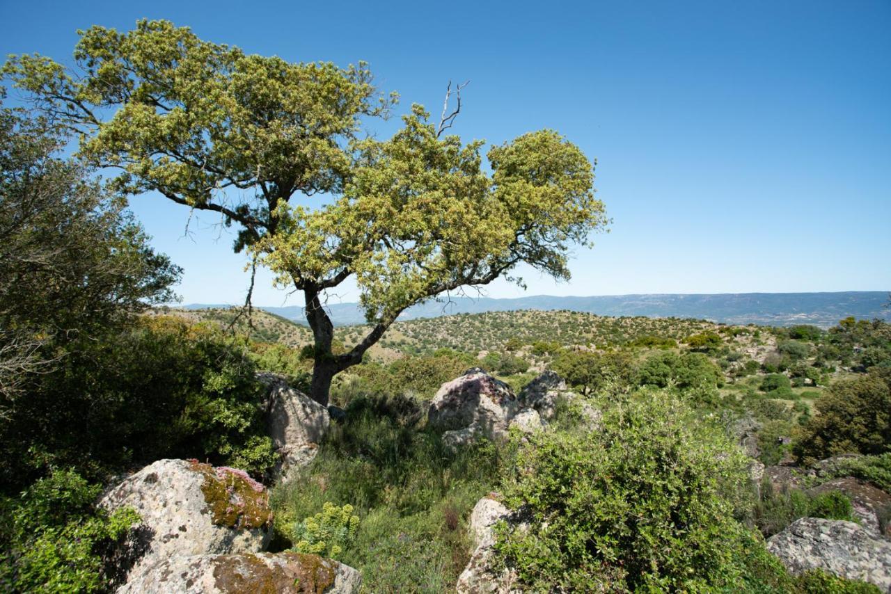 Agriturismo Testone Benetutti Екстериор снимка