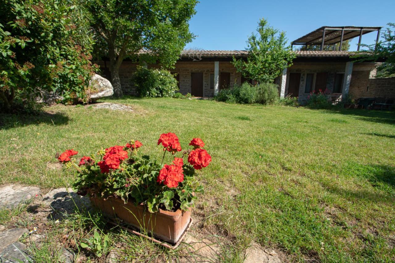 Agriturismo Testone Benetutti Екстериор снимка